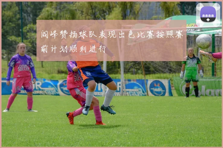 阎峰赞扬球队表现出色比赛按照赛前计划顺利进行